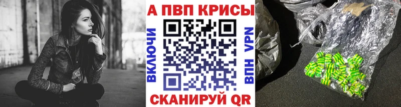 Альфа ПВП СК КРИС Кореновск