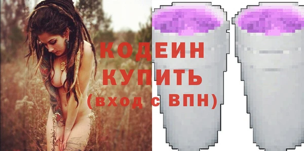шишки Переславль-Залесский