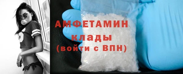 прущая мука Пересвет