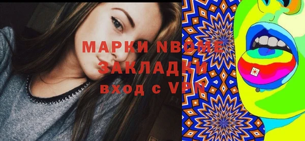 шишки Переславль-Залесский