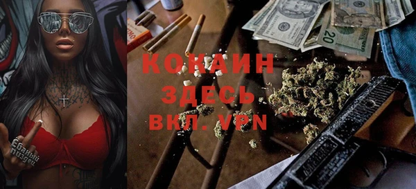 прущая мука Пересвет