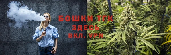 прущая мука Пересвет