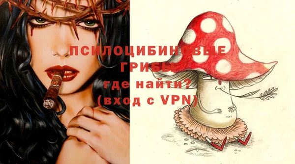 прущая мука Пересвет