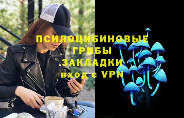 прущая мука Пересвет
