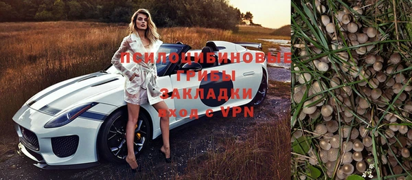 прущая мука Пересвет