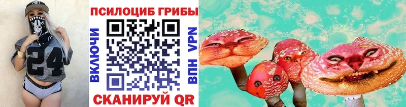 купить закладку Кореновск Галлюциногенные грибы Cubensis