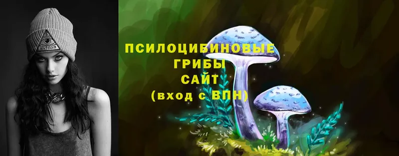 Псилоцибиновые грибы Magic Shrooms  Кореновск 