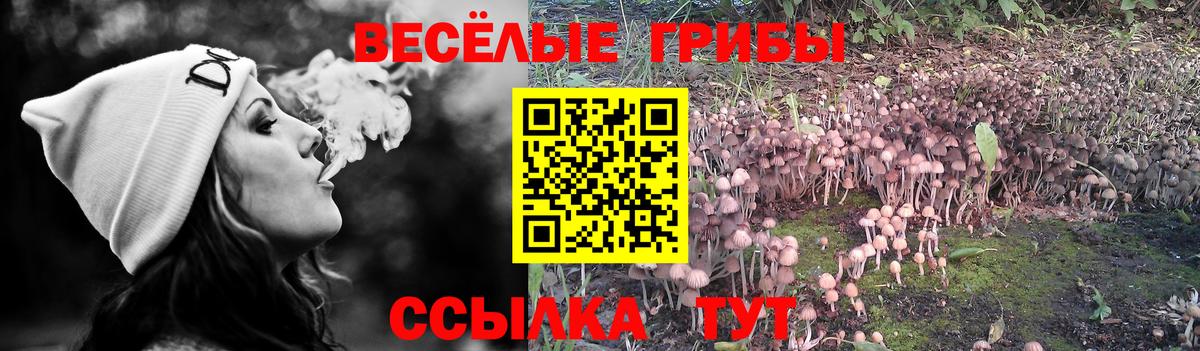 цена   Галлюциногенные грибы Psilocybine cubensis  Вход с VPN  Кореновск 